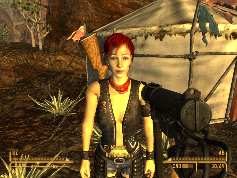 Soubor:Fallout New Vegas Ultimate-2020-250.png