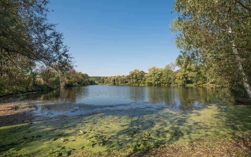 Soubor:Tula YasnayaPolyana asv2019-09 img02 Big Pond.jpg