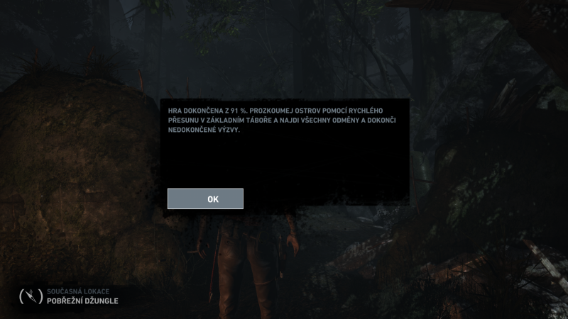 Soubor:Tomb Raider GOTY-2013-336.png