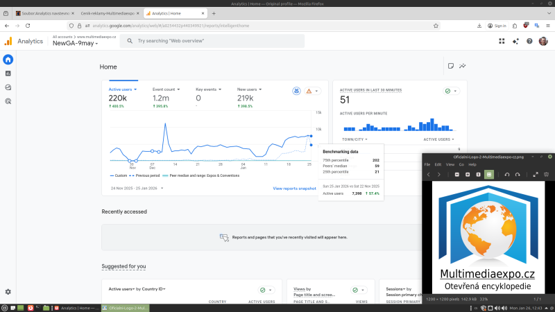 Soubor:Analytics navstevnost Encyklopedie-61 dnu-2026-01-26.png