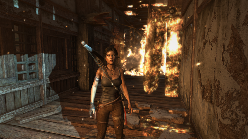 Soubor:Tomb Raider GOTY-2013-208.png