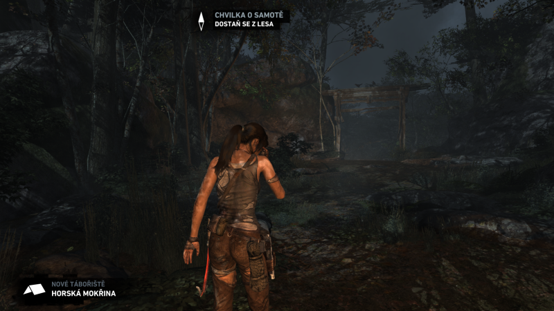 Soubor:Tomb Raider GOTY-2013-234.png