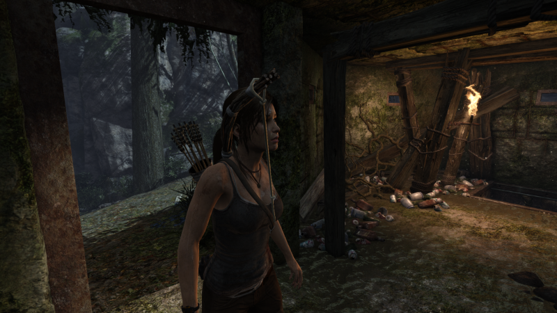 Soubor:Tomb Raider GOTY-2013-019.png